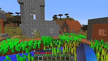 minecraft play found a village and walked around it a little